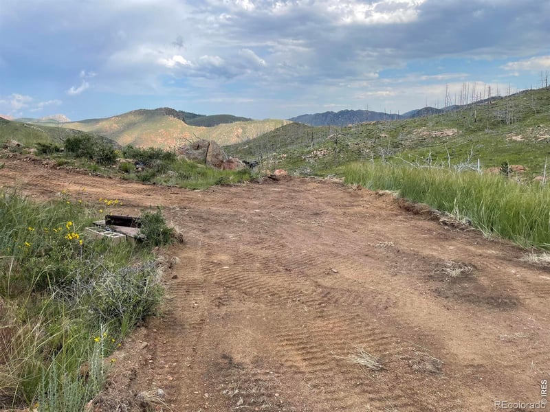 1400 Meadow Mountain Dr, Livermore, CO 80536