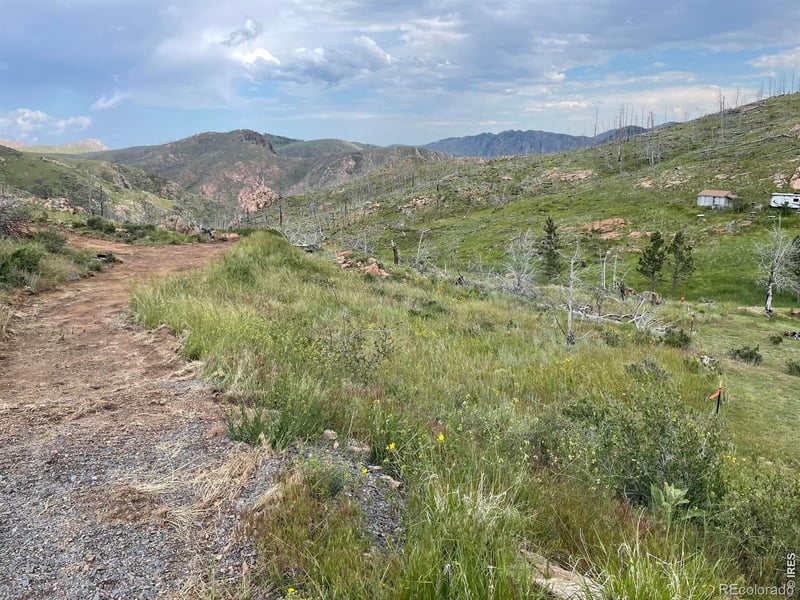 1400 Meadow Mountain Dr, Livermore, CO 80536