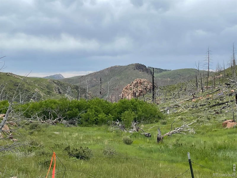 1400 Meadow Mountain Dr, Livermore, CO 80536