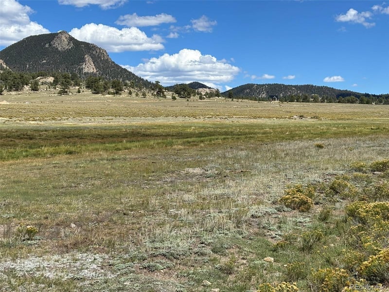 11065 Larimer Rd, Hartsel, CO 80449