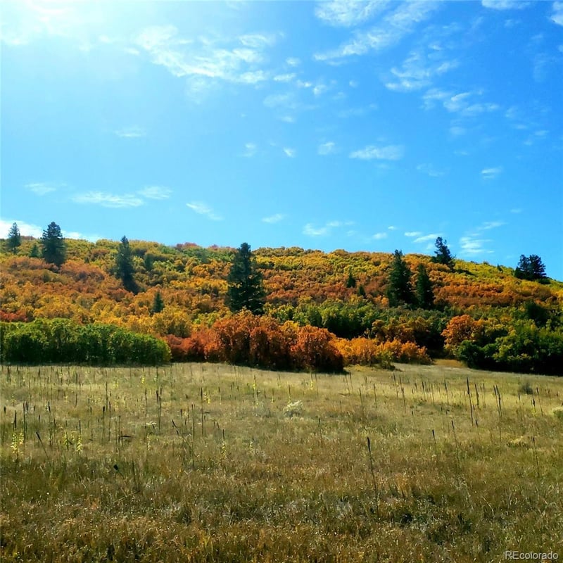 7190 Nautique Cir, Larkspur, CO 80118