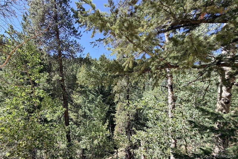 000 Silver Dollar Lode, Georgetown, CO 80444