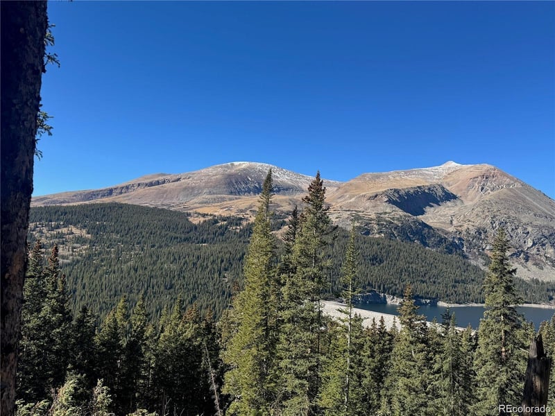 275 Lakeview Dr Lot 7, Alma, CO 80420