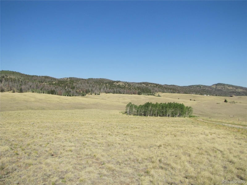 1027 Bolster Dr, Hartsel, CO 80449