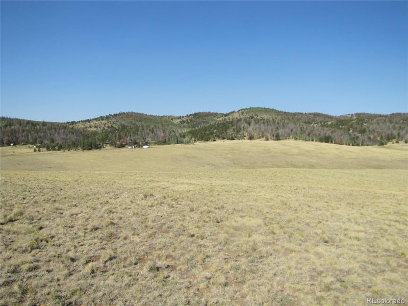1027 Bolster Dr, Hartsel, CO 80449