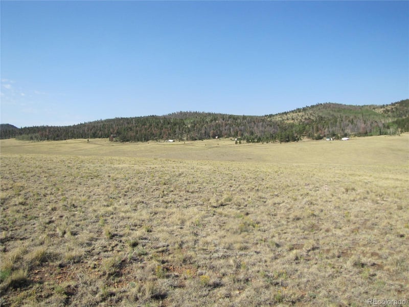 1027 Bolster Dr, Hartsel, CO 80449
