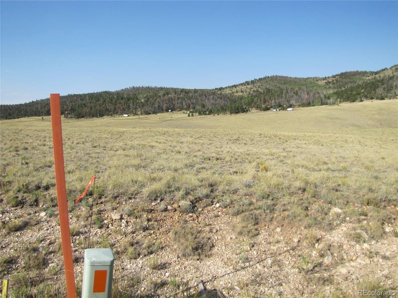 1027 Bolster Dr, Hartsel, CO 80449