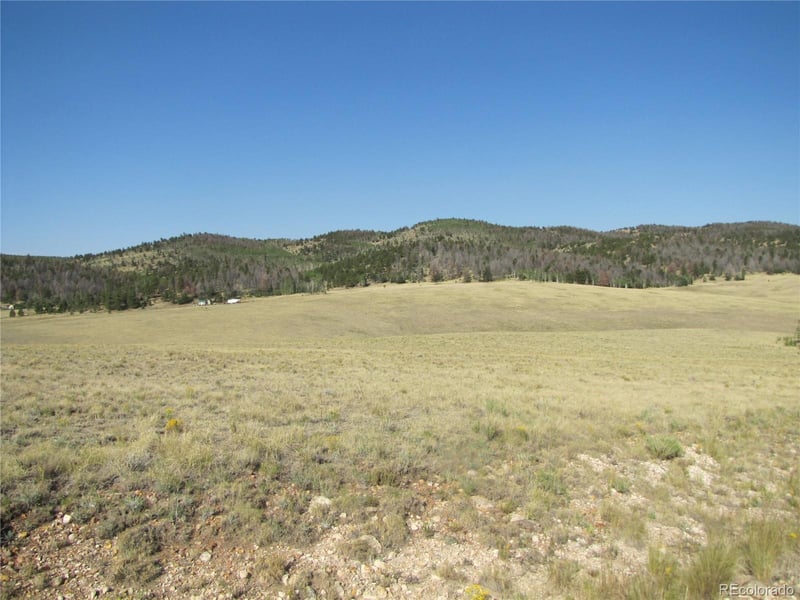 1027 Bolster Dr, Hartsel, CO 80449
