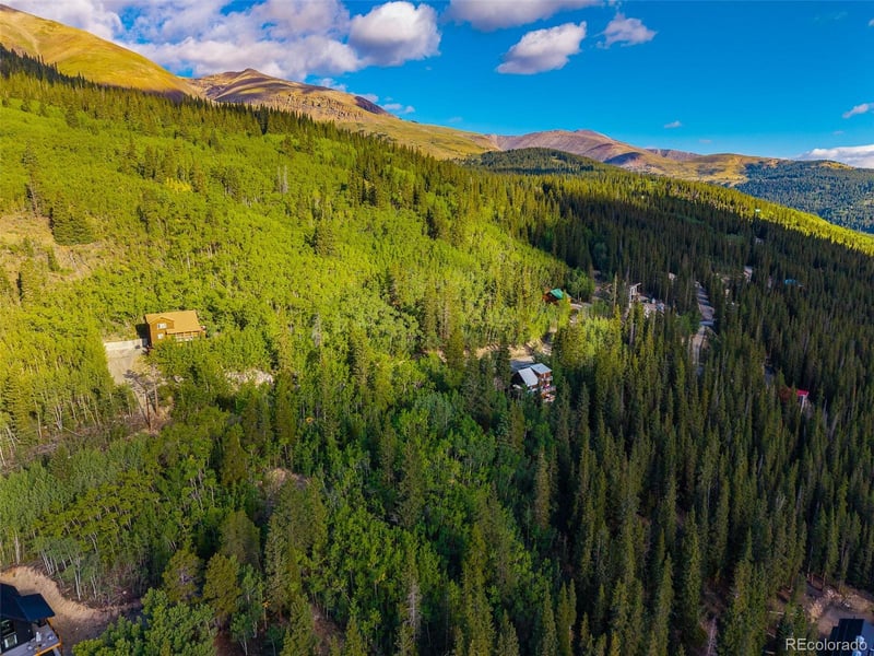 1238 Quartzville, Alma, CO 80420