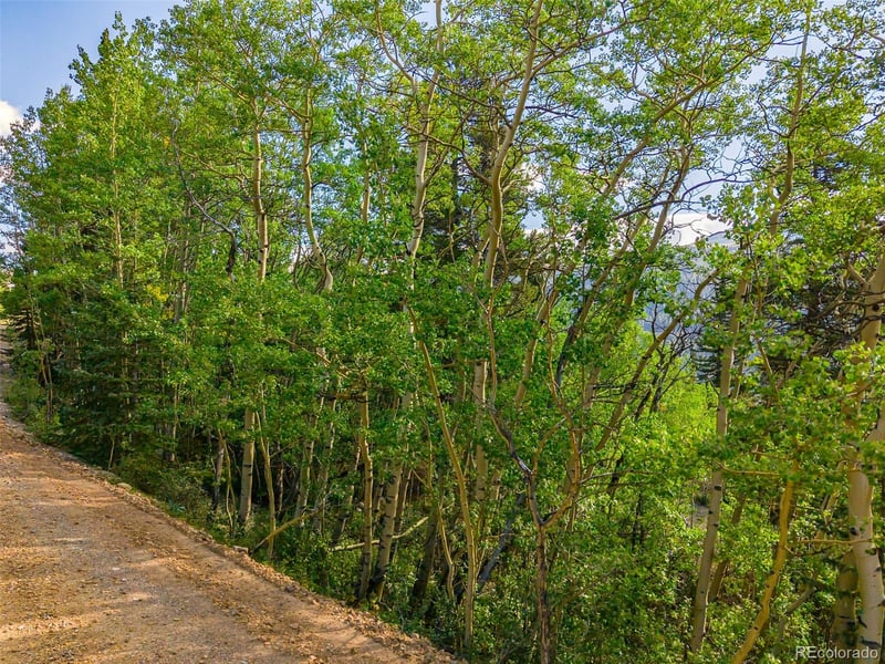 1238 Quartzville, Alma, CO 80420