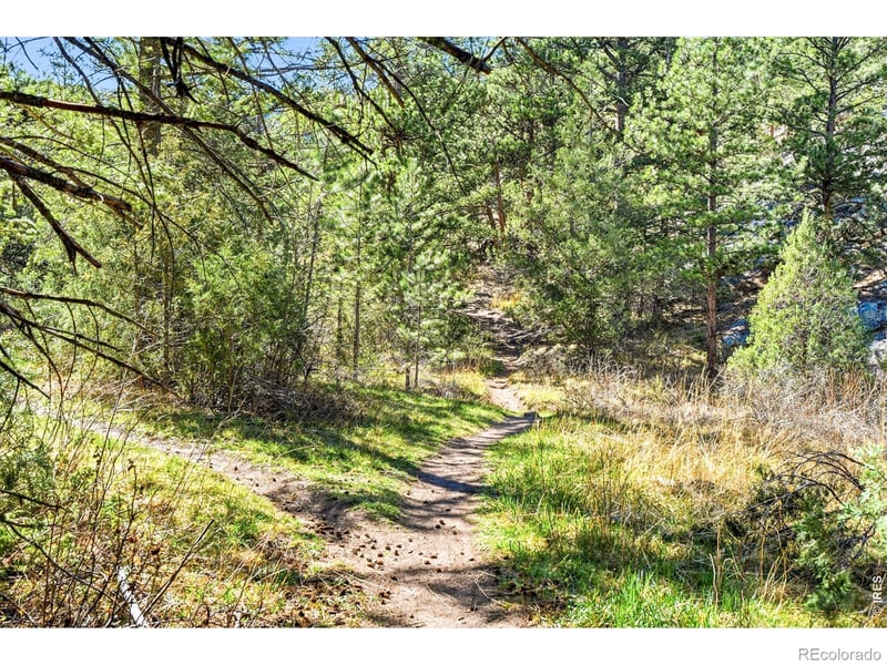 5 Mohawk Rd, Lyons, CO 80540