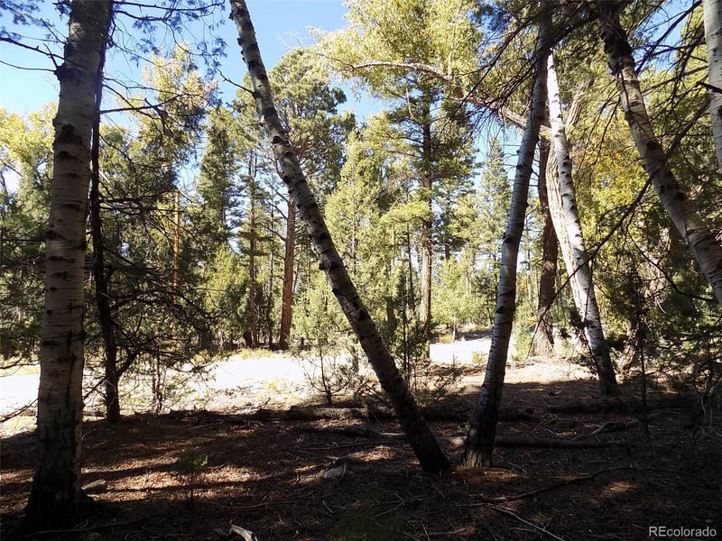 Zapata Ct, Mosca, CO 81146