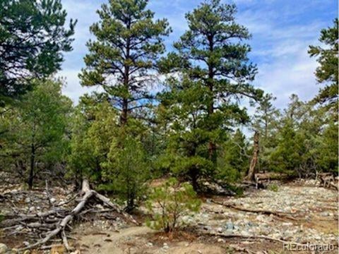 Mill Run Rd, Mosca, CO 81146