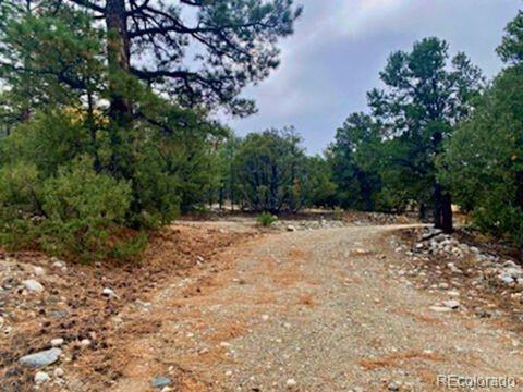 Mill Run Rd, Mosca, CO 81146