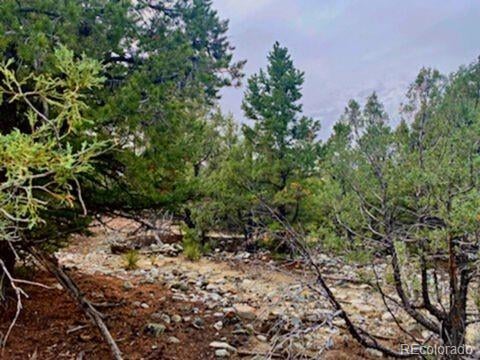 Mill Run Rd, Mosca, CO 81146