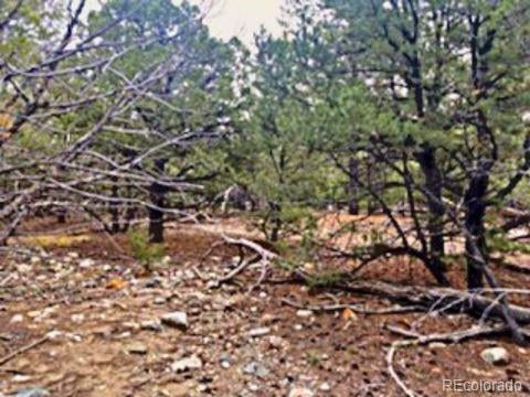 Mill Run Rd, Mosca, CO 81146