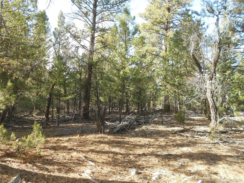206 Zapata Pl, Mosca, CO 81146