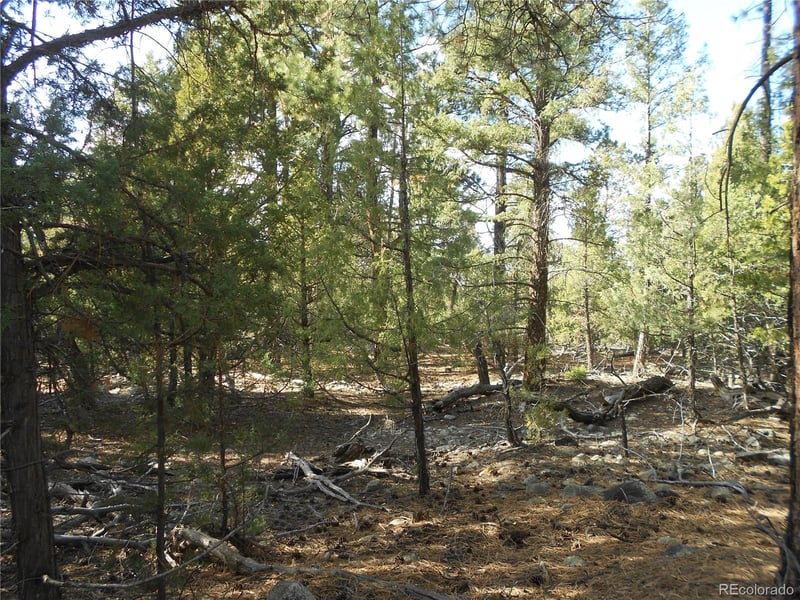 206 Zapata Pl, Mosca, CO 81146