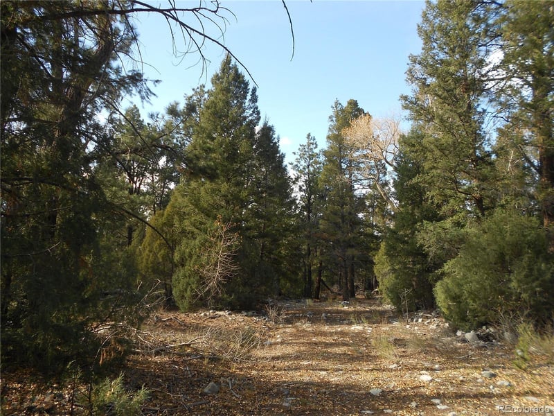 206 Zapata Pl, Mosca, CO 81146