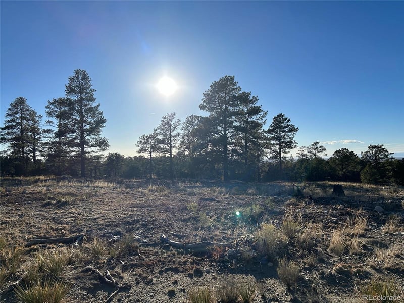 Conejos Pl, Mosca, CO 81146