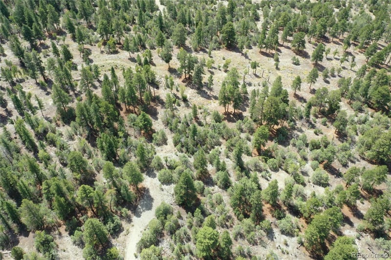 Conejos Pl, Mosca, CO 81146