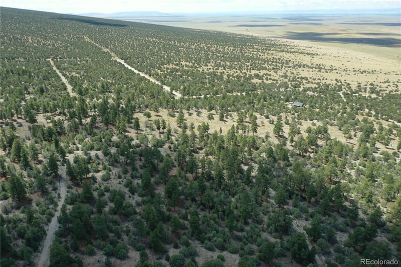 Conejos Pl, Mosca, CO 81146