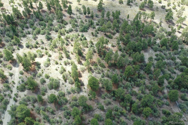 Costilla Pl, Mosca, CO 81146
