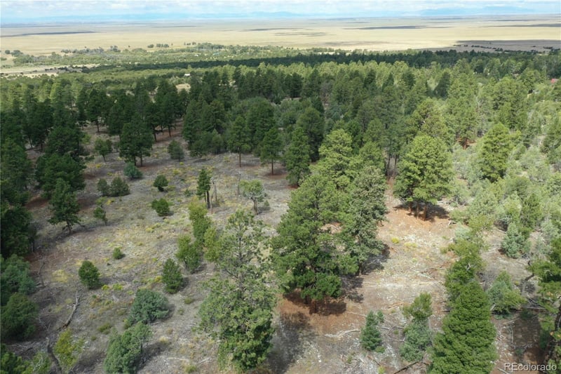 Costilla Pl, Mosca, CO 81146