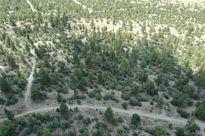 Costilla Pl, Mosca, CO 81146