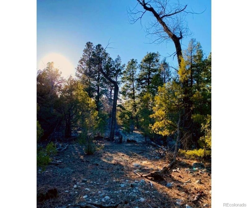 Pawnee Ct, Mosca, CO 81146