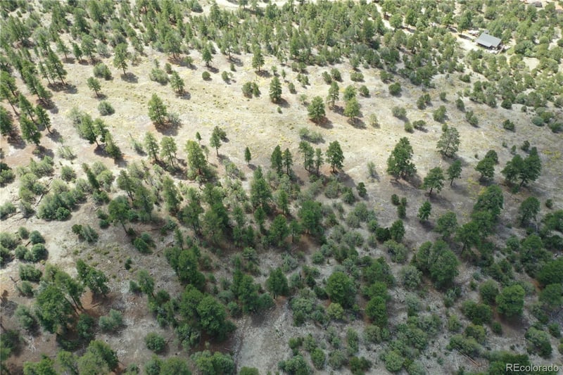 Pawnee Ct, Mosca, CO 81146