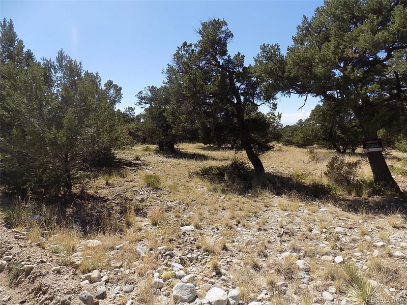 Mill Run Rd, Mosca, CO 81146