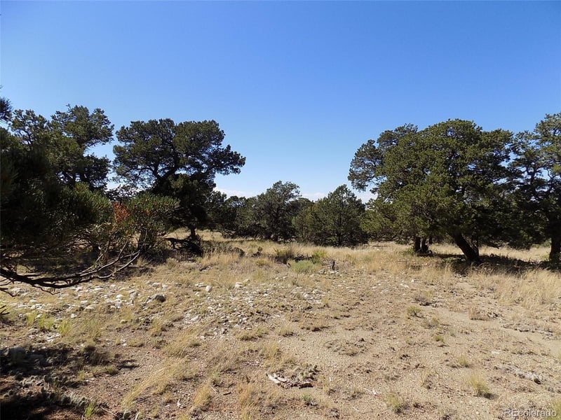 Mill Run Rd, Mosca, CO 81146