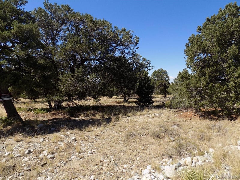 Mill Run Rd, Mosca, CO 81146