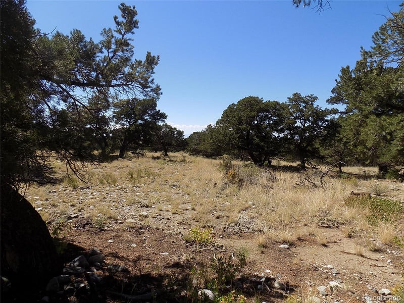 Mill Run Rd, Mosca, CO 81146