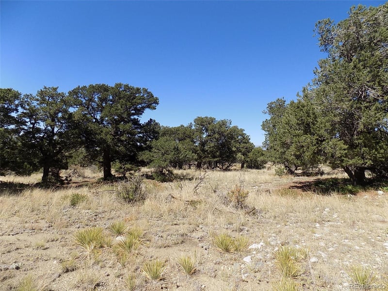 Mill Run Rd, Mosca, CO 81146