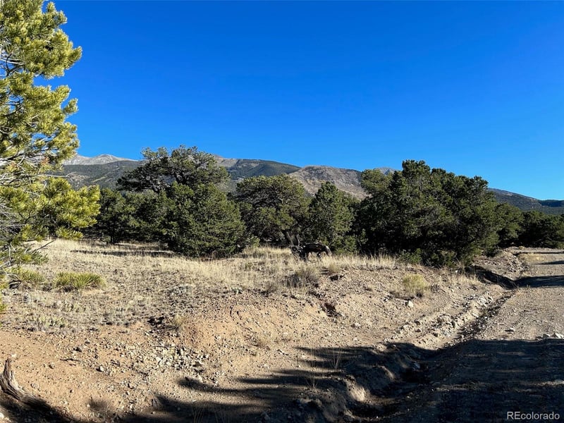 103 Indian Hill Rd, Mosca, CO 81146