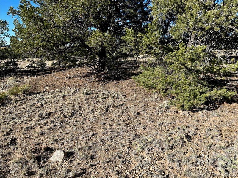 103 Indian Hill Rd, Mosca, CO 81146