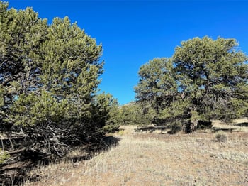 103 Indian Hill Rd, Mosca, CO 81146