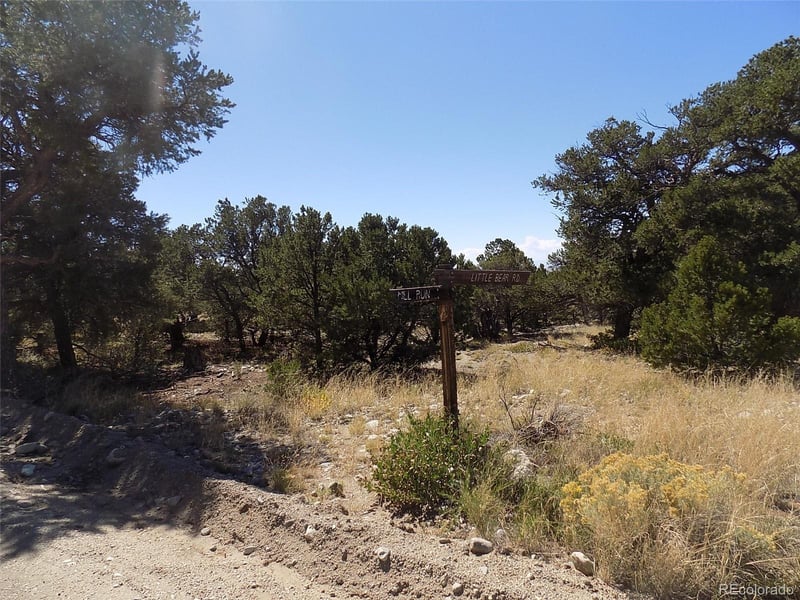 Little Bear Rd, Mosca, CO 81146