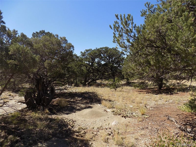 Little Bear Rd, Mosca, CO 81146