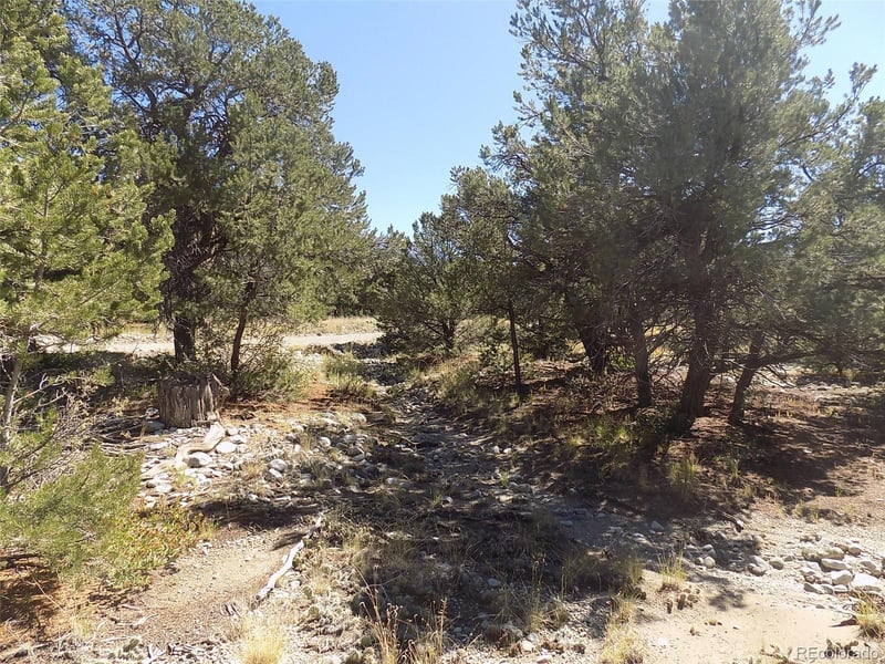 Little Bear Rd, Mosca, CO 81146