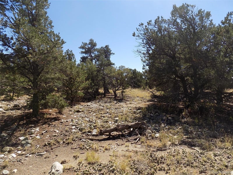 Little Bear Rd, Mosca, CO 81146