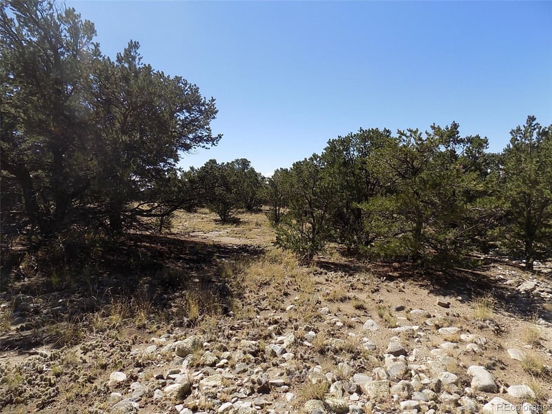 Little Bear Rd, Mosca, CO 81146