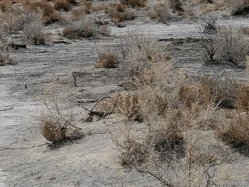 Vacant Land, Alamosa, CO 81101