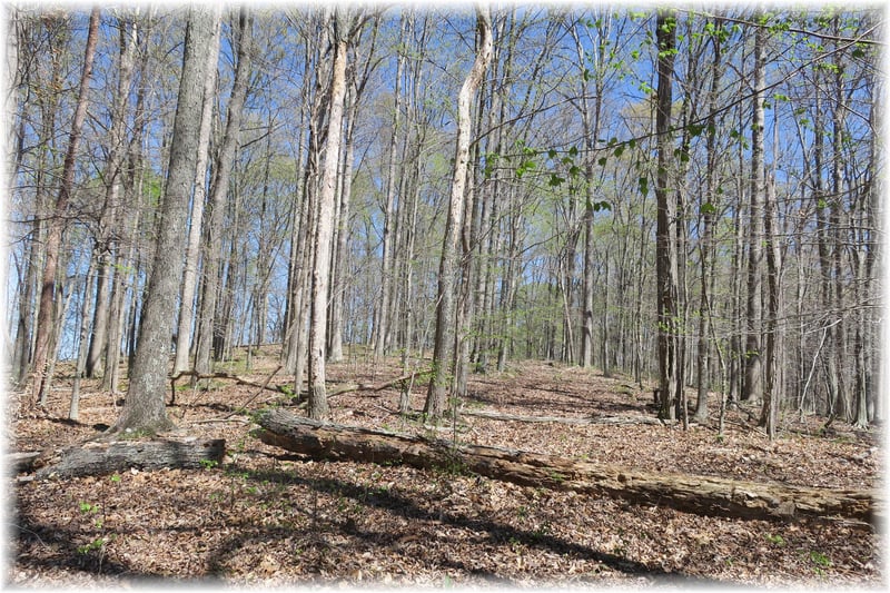 Mccrory , Nashville, TN 37221