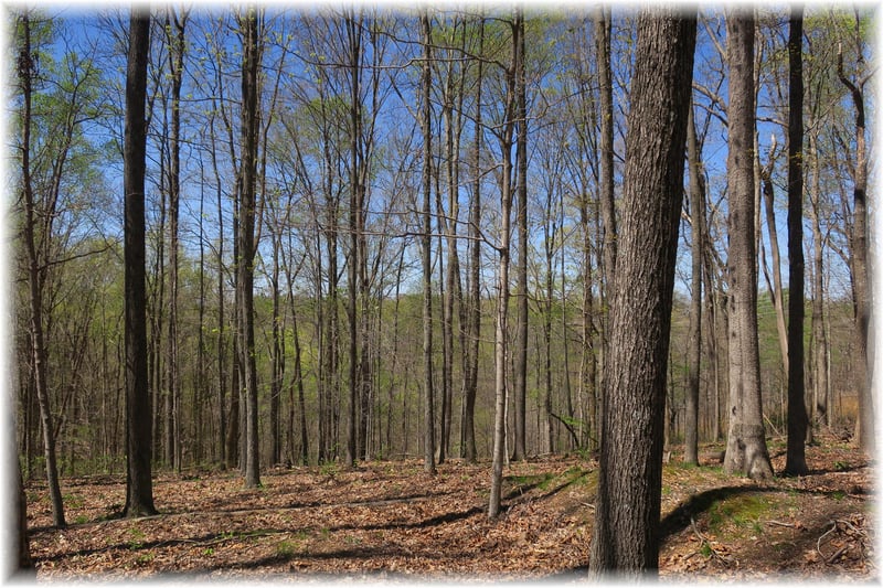 Mccrory , Nashville, TN 37221