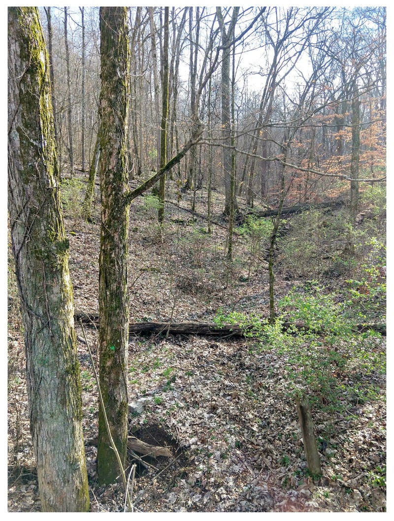 8171 Mccrory Ln, Nashville, TN 37221