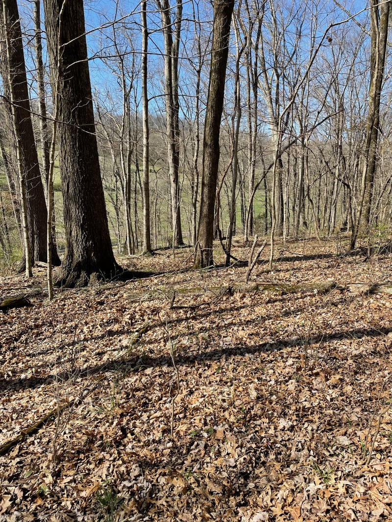 2057 Hillsboro , Franklin, TN 37069