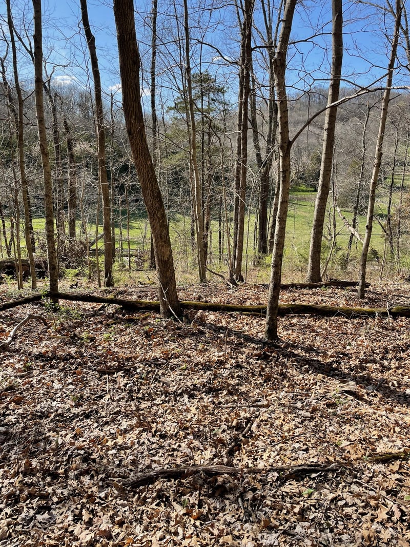 2057 Hillsboro , Franklin, TN 37069